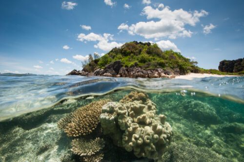 Delad vy över korallrev under vattenytan och en ö i bakgrunden, fotograferad i Nosy Hara Marine Park, Andilana, Madagaskar. Bilden visar marin mångfald och skyddad naturmiljö.
