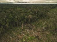 Avskogning, Amazonas, Colombia