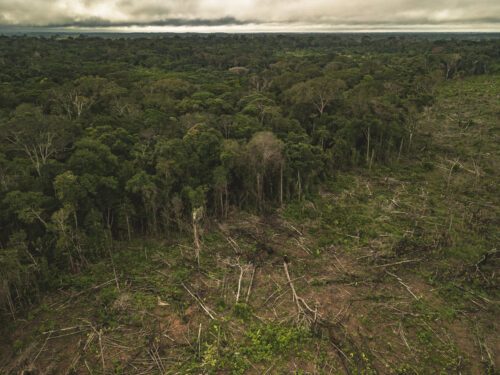 Avskogning, Amazonas, Colombia