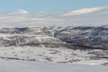 Vindel mountain nature reserve with birch tree forests.