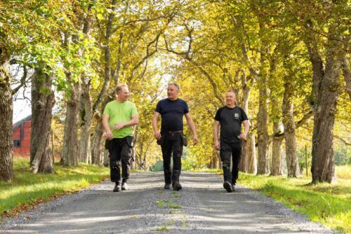 Gabriel Jonsson, Mathias Jonsson och Henrik Jonsson går på rad genom en allé.