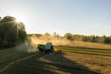 Ogestad Egendom och Hyllela gård, Västerviks kommun, Småland, Sverige. Solen står lågt bakom träden och skördetröskan kör nära i bild.