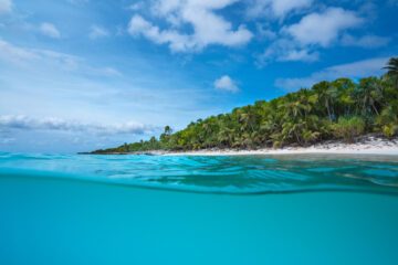 WWF Staff working on green turtles in New Caledonia