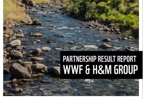 Read more about the WWF and H&M Group partnership results