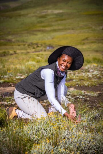Person klädd i väst och bred hatt planterar en blomma i gräsbevuxen natur.