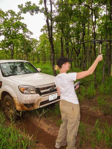 Magasinet 4-2025. Louise spårar guldschakal i Kambodja.