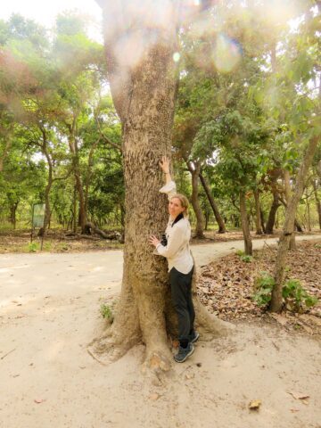 Magasinet 4-2025. Louise når inte riktigt tigerns klösmärken på trädet. Tigrar markerar revir genom att klösa och doftmarkera.