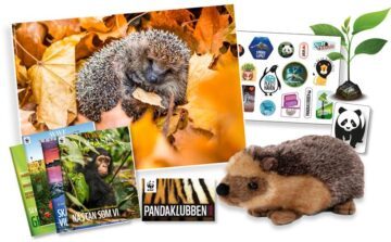 Pandaklubben medlemspaket