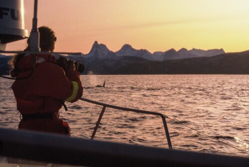 Båt ute i norra Norge -Forskning späckhuggare. WWF magasin. Privata foton