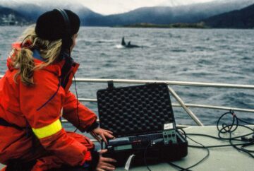 WWF Magasin - privata foton. Båt i norra Norge - forskning späckhuggare - Via en hydrofon kunde Anna studera späckhuggarnas ljud.