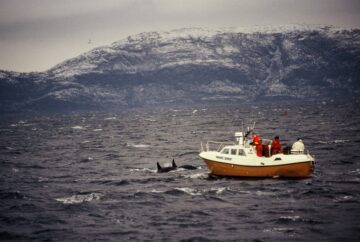 WWF Magasin - privata foton. Båt i norra Norge för forskning av späckhuggare