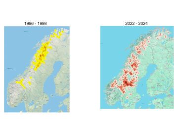 Utbredningsområde järv (Gulo gulo), år 1996-2024. Karta: IUCN