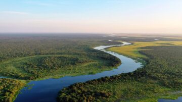 Vy över flod ovanifrån