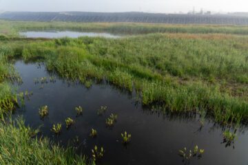Våtmark i Vistagård i Sverige.
