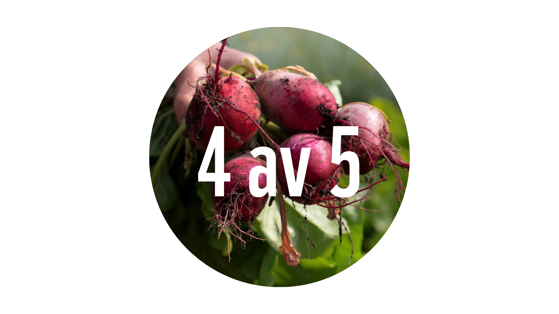 Klimatbarometern 2026. Cirkulär bild av rädisor med texten 4 av 5