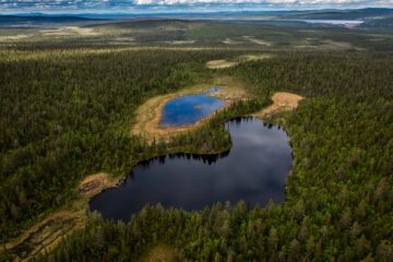 Flygfoto av en skog med två mindre sjöar., © Foto: Ola Jennersten / WWF-Sweden Flygfoto av en skog med två mindre sjöar. Sjöarna är omgivna av tät grönska under en molnfri himmel.