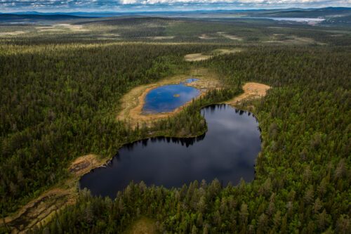 Flygfoto av en skog med två mindre sjöar. Sjöarna är omgivna av tät grönska under en molnfri himmel.