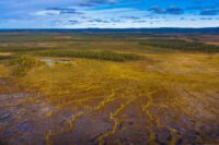 Svensk våtmark. Foto: Marcus Westberg/WWF