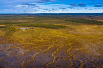 Svensk våtmark. Svensk våtmark. Foto: Marcus Westberg/WWF