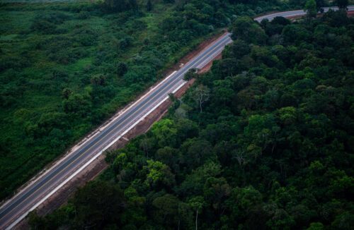 Väg i Amazonas. © Chris J Ratcliffe / WWF-UK