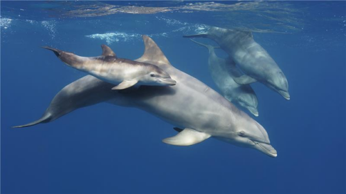 iCCkrytfTg2nGdftdMFC_2jxI28xdRq2DlqeWOhnT_globala-havsavtalet(2)