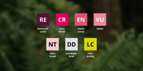 Rödlistans kategorier