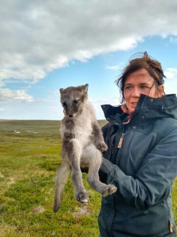 En kvinna håller upp en fjällrävsvalp