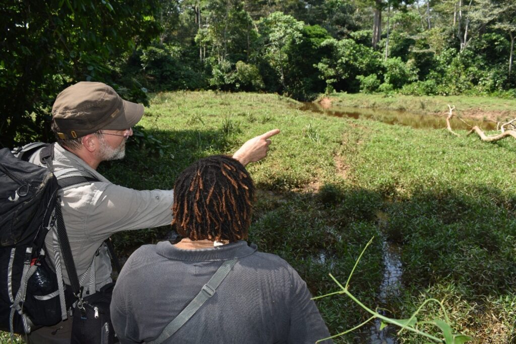 Olle pekar ut mot djur. 