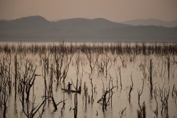 Bild på damm i slolnedgång.