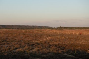 Bild på uttorkad damm.