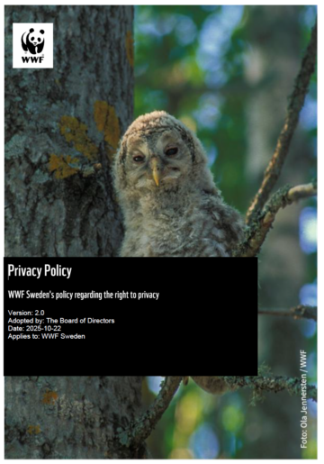 Omslagsbild till dokumentet WWF Sweden Privacy Policy