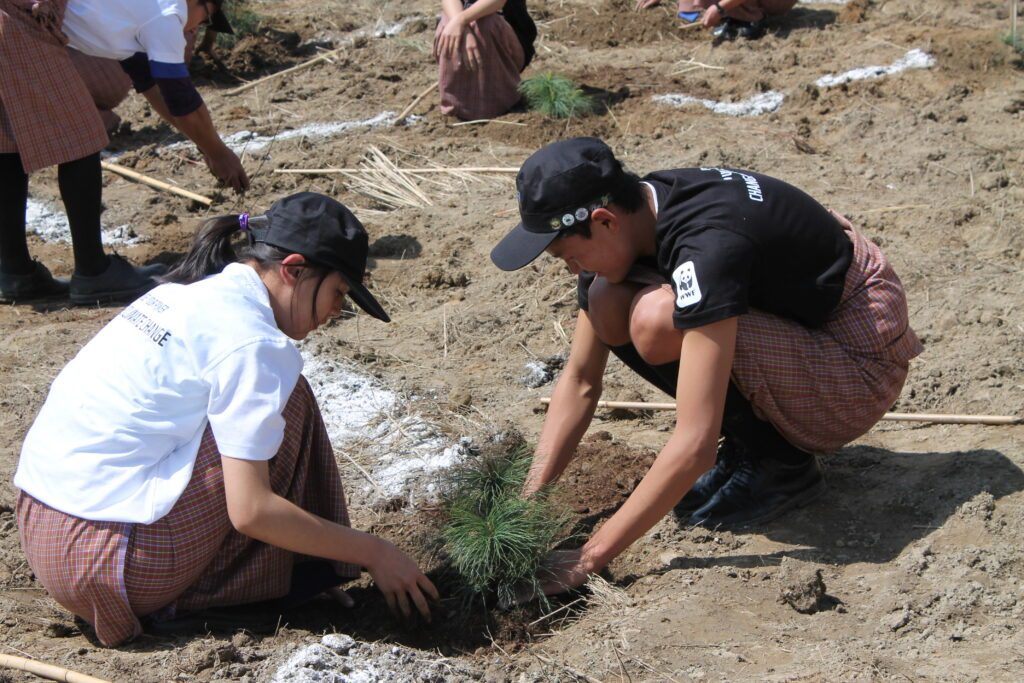 Earth Hour firande i Bhutan 2015. Två deltagare i projektet Eart Hour Garden, syns på bilden plantera ett av träden som ska bilda trädgården.
