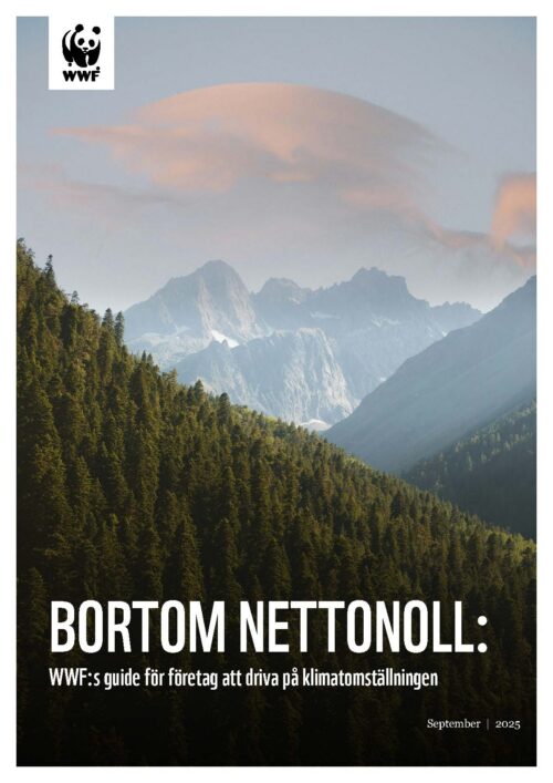 Bortom nettonoll – WWFs guide för företag att driva på klimatomställningen_Sida_01 Omslag för WWF-guiden Bortom nettonoll