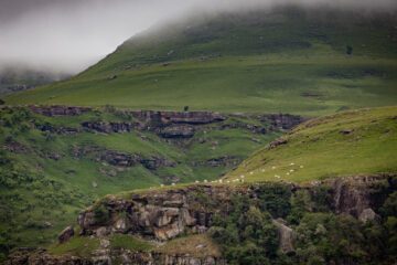 H _ M WWF Sweden visit photo 7 © A Burns (1) H _ M WWF Sweden visit photo 7 © A Burns (1)