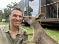 Programledaren och WWF-ambassadören Anders Lundin blir pussad av en känguru.