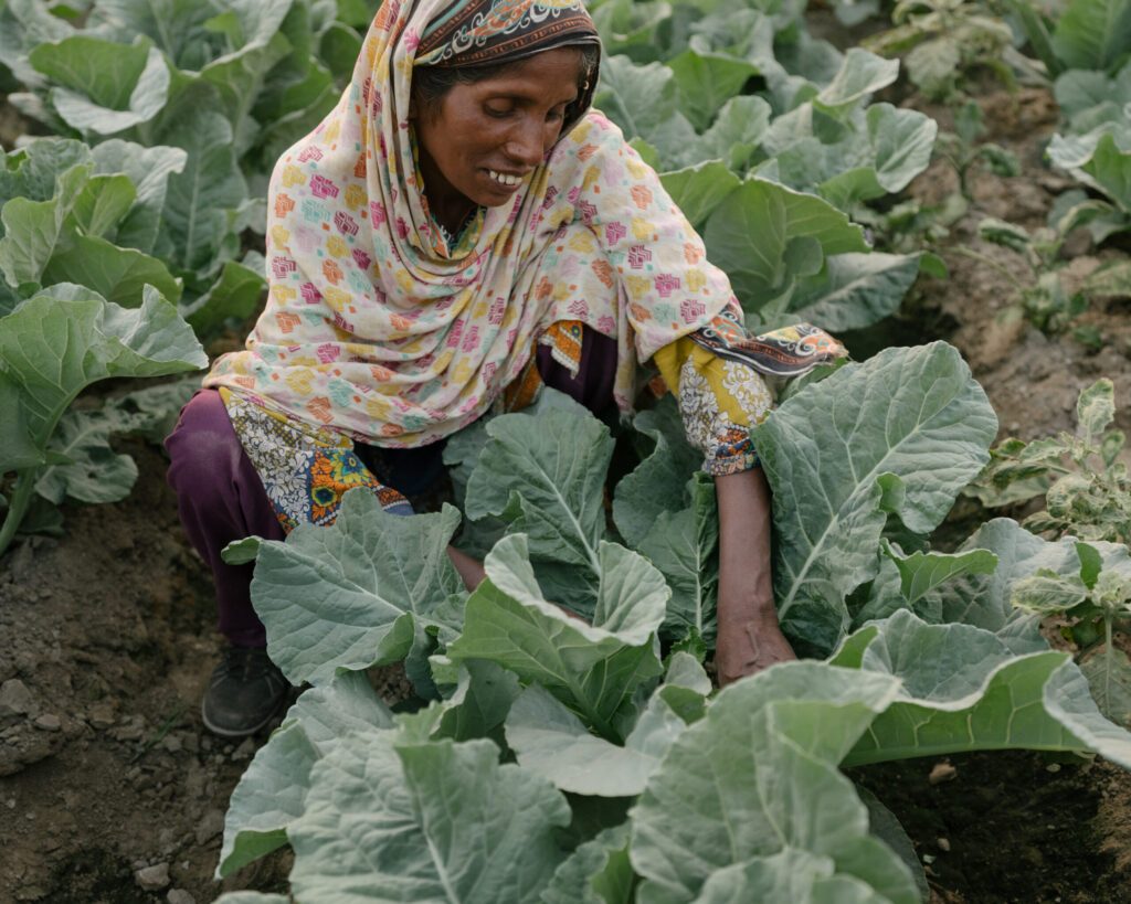 Ramzana Bibi visar sin köksträdgård som hon byggt upp efter att ha utbildats av WWF Pakistan.