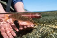 © Johan Hammar © Johan Hammar