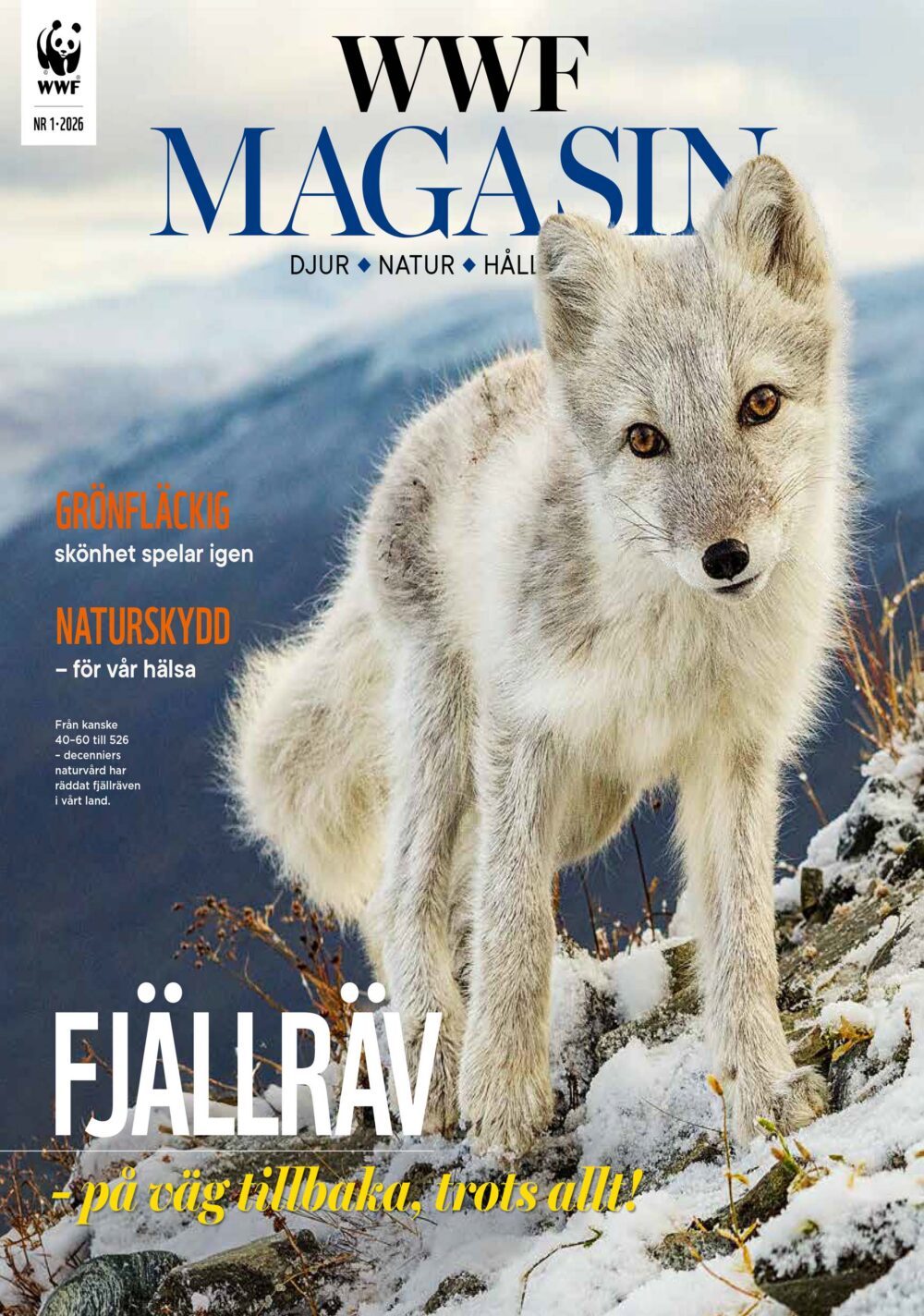 WWF Magasin framsida