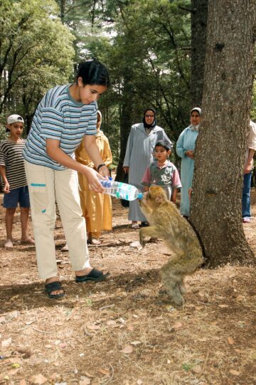 En berberapa får vatten i Marocko
