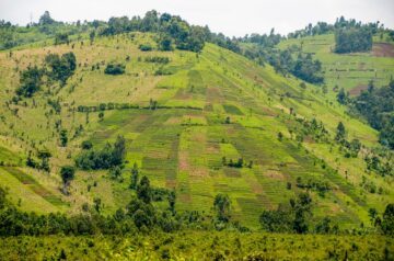 Virunabergen i Demokratiska republiken kongo syns, gröna med lite skog högst upp.