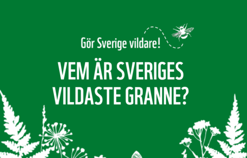 Vem är Sveriges vildaste granne?