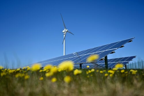 Vindkraftverk och solenergiceller på en blomstrande äng och klarblå himmel