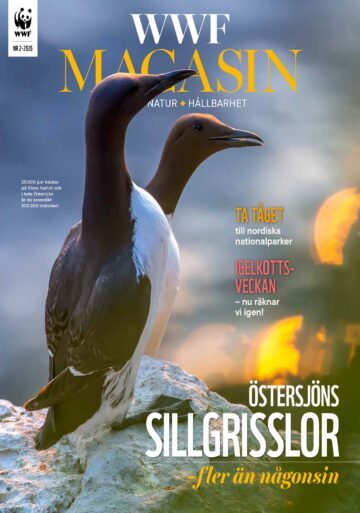 WWF Magasin 2-26